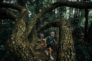 BIB: 
                            <button type="button" onclick="openModal(25665545)" class="btn btn-primary btn-sm float-right btn-popup" data-toggle="modal" data-target=".modal-high-quality">
                        <i class="fas fa-shopping-cart"></i> Add to Cart
                    </button>
                                            <button type="button" onclick="isThisMe(25665545, true)" class="btn btn-success btn-sm float-right btn-popup btn-isme hidden" data-toggle="tooltip" data-placement="bottom" title="นี่คือรูปของคุณใช่ไหม คลิกที่นี่เพื่อเอาเข้าอัลบั้ม">
                        <i class="fas fa-plus"></i> Add to album
                    </button>
                    <button type="button" onclick="isThisMe(25665545, false)" class="btn btn-warning btn-sm float-right btn-popup btn-isnotme hidden">
                        <i class="fas fa-ban"></i> Remove from album
                    </button>